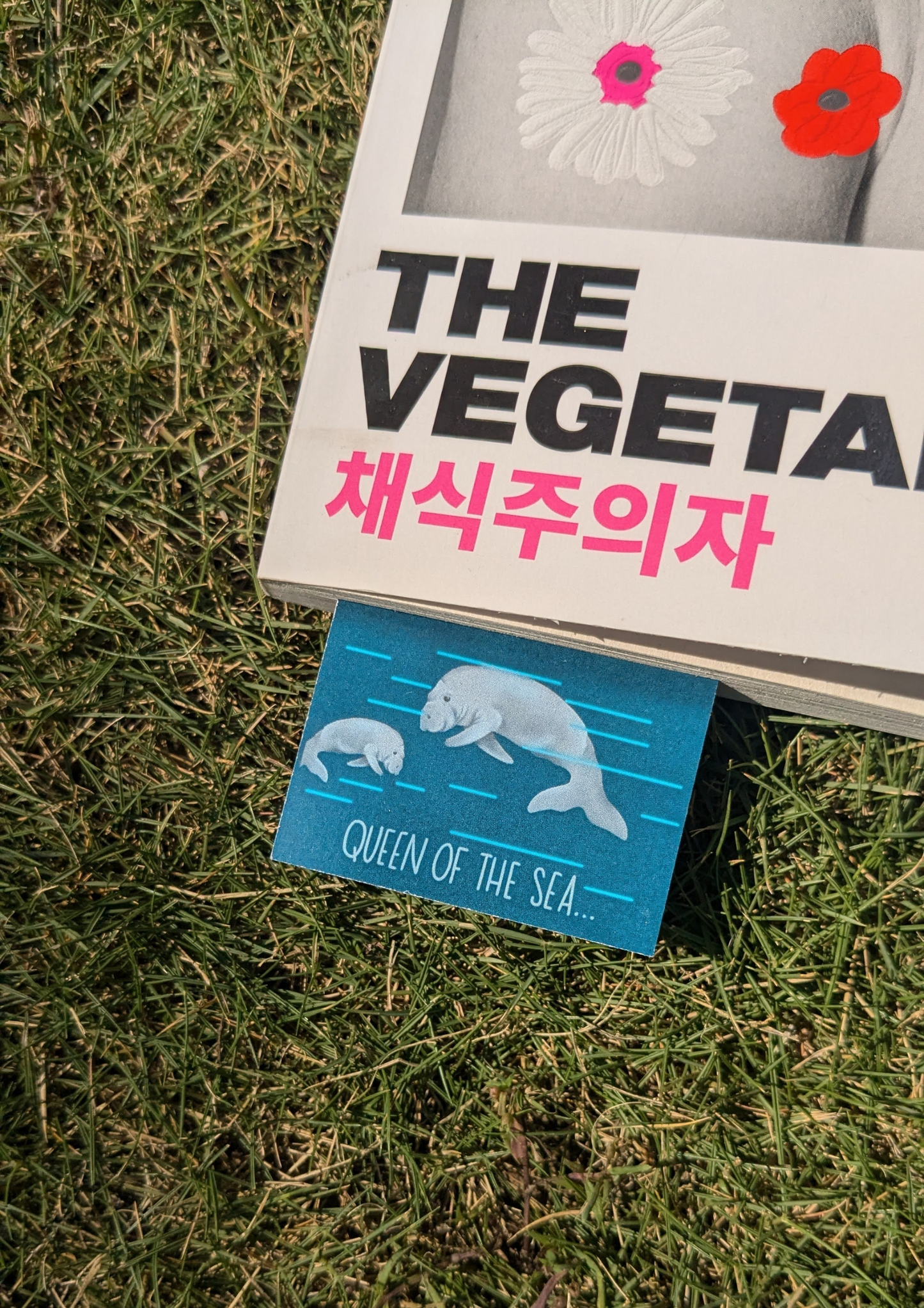 Ocean Bookmarks Set of 4