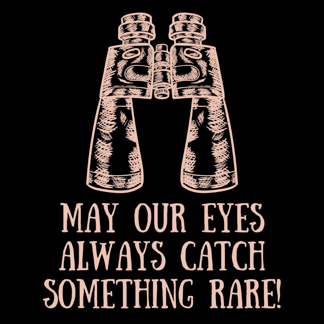 Rambler's Eyes