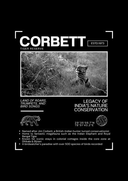 Captivating Corbett