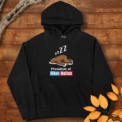 HiberNation