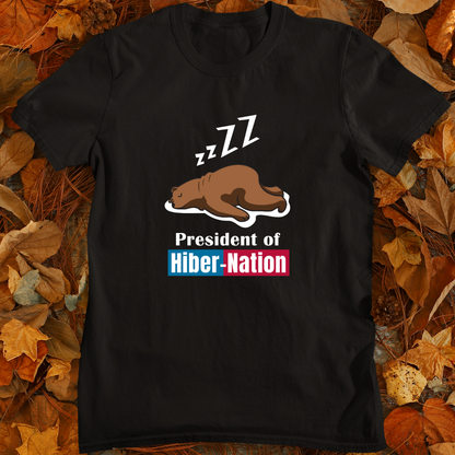 HiberNation