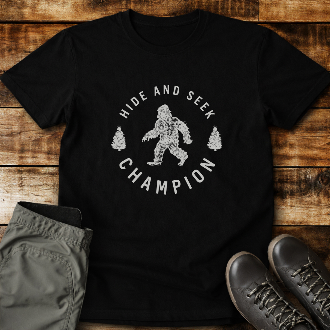 Hide And Seek Champion