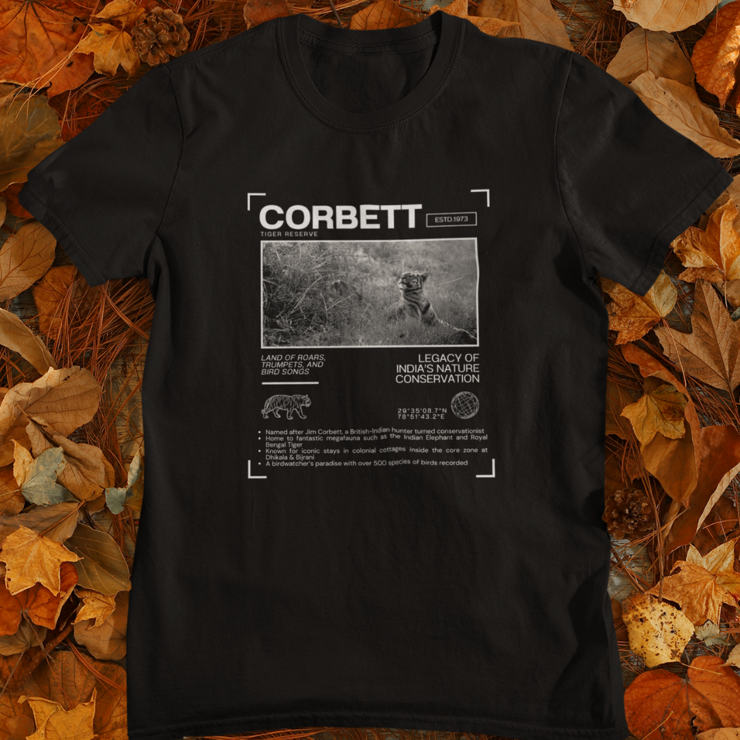 Captivating Corbett