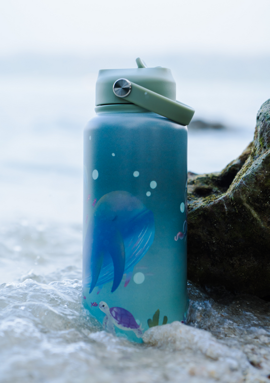 Sea Glow Vacuum Steel Bottle