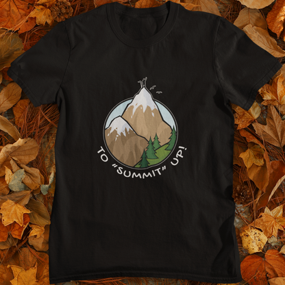 To Summit Up!