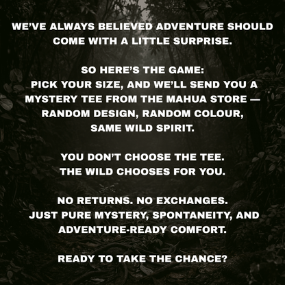 Mystery Box